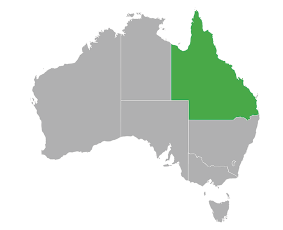 APT - QLD